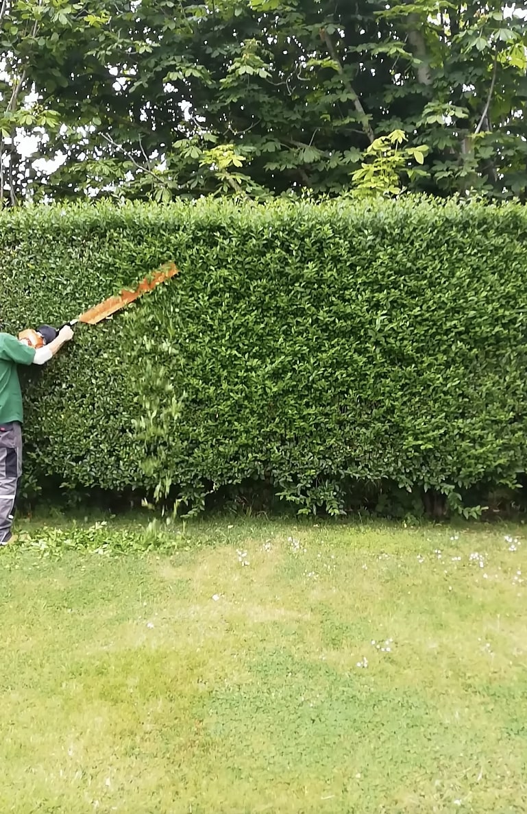Professional shrub and hedge trimming service in Woonsocket, RI