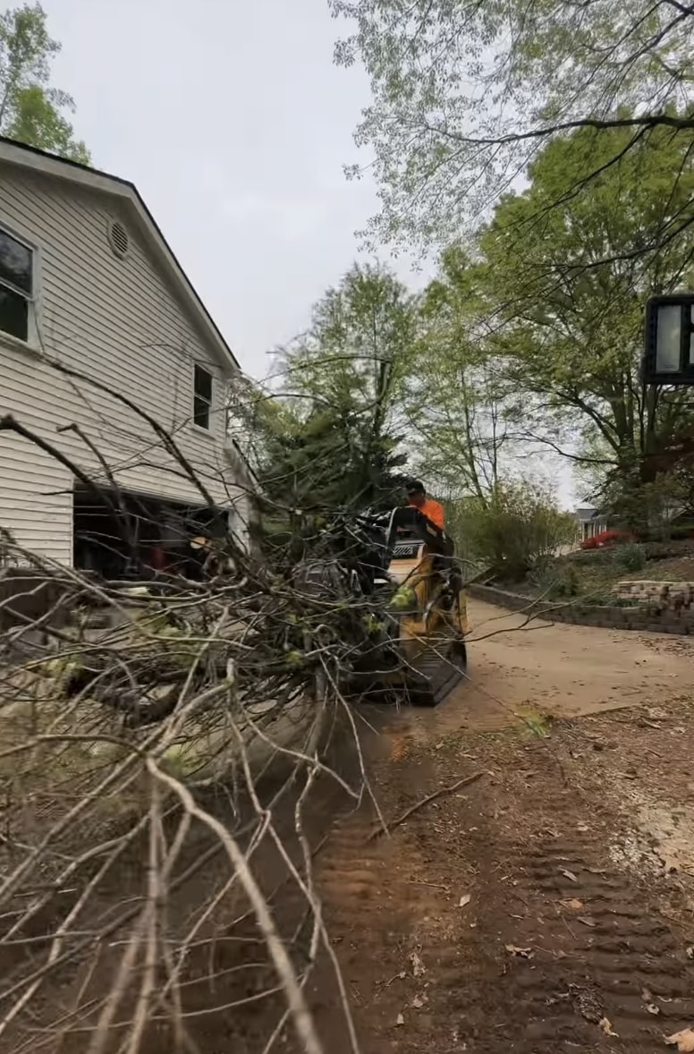 Emergency tree removal service in Woonsocket, RI