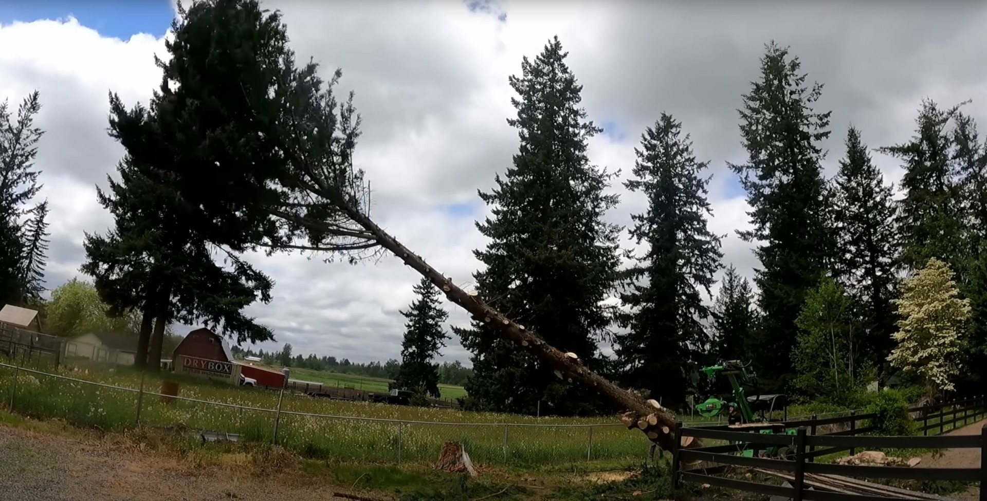 Professional tree removal equipment in Woonsocket