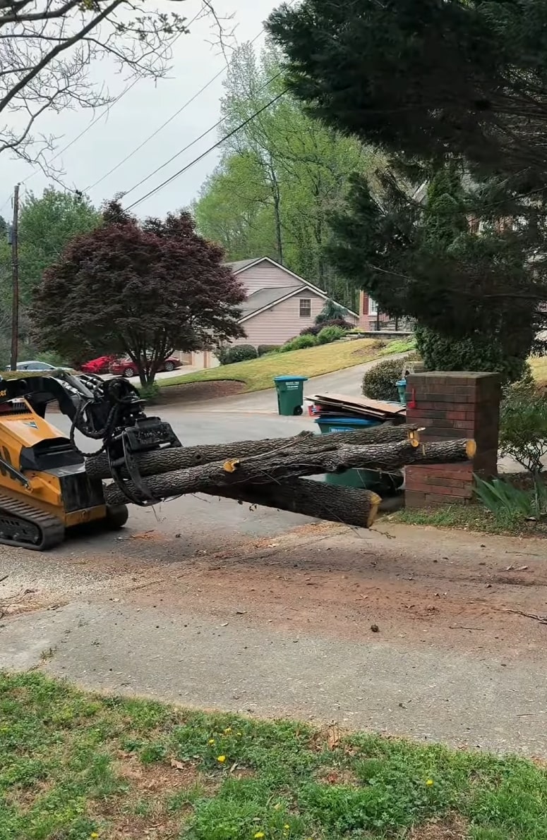 Professional tree removal equipment and cut logs in residential neighborhood