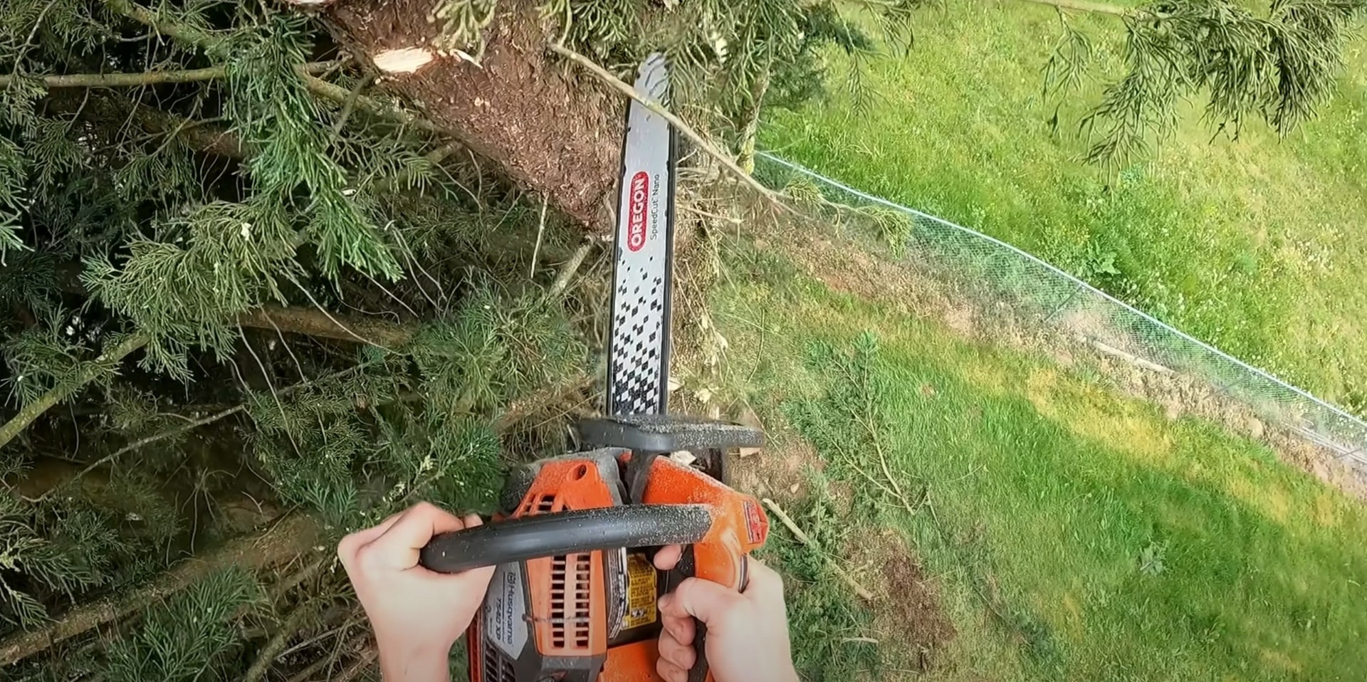Close-up of professional chainsaw used for tree cutting services