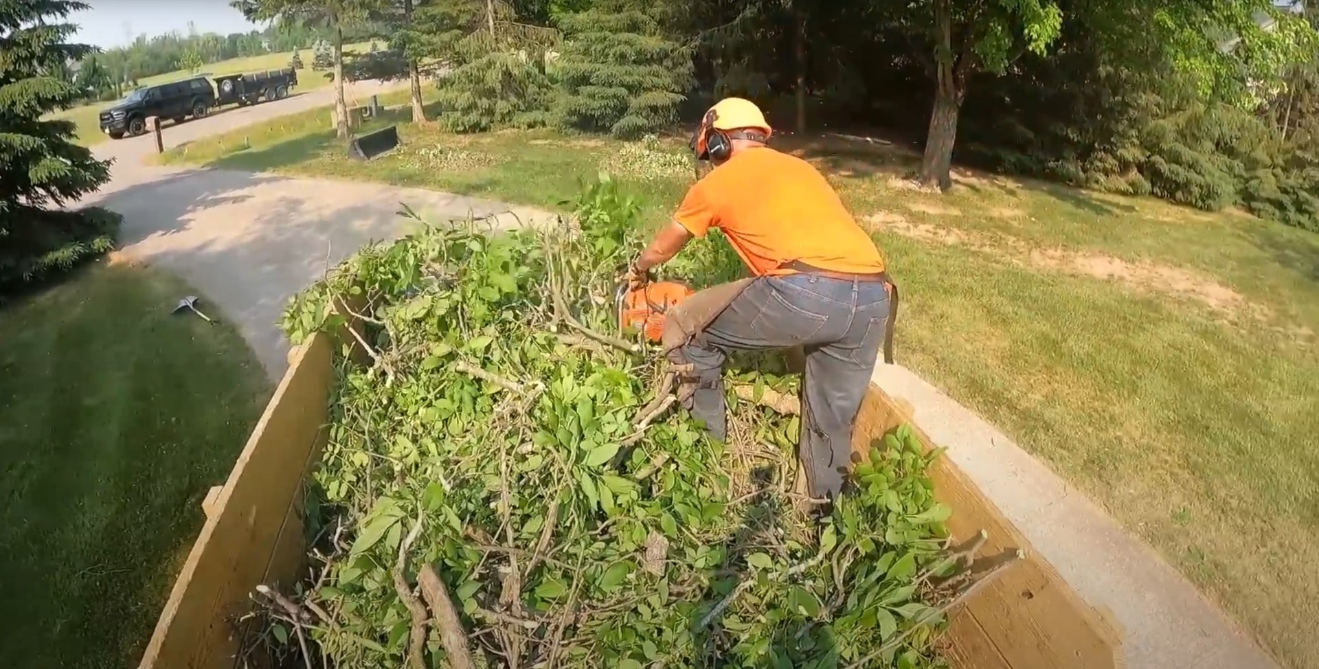 Tree service professional using chainsaw for shrub and vegetation removal